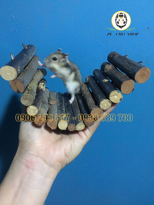 CAU thang UỐN CONG